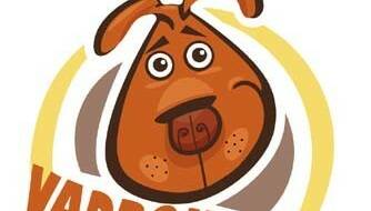 Conservez vos capsules de bouteilles de bière