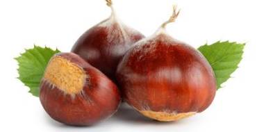 Fête de la châtaigne