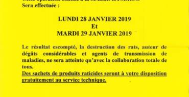 Campagne de dératisation