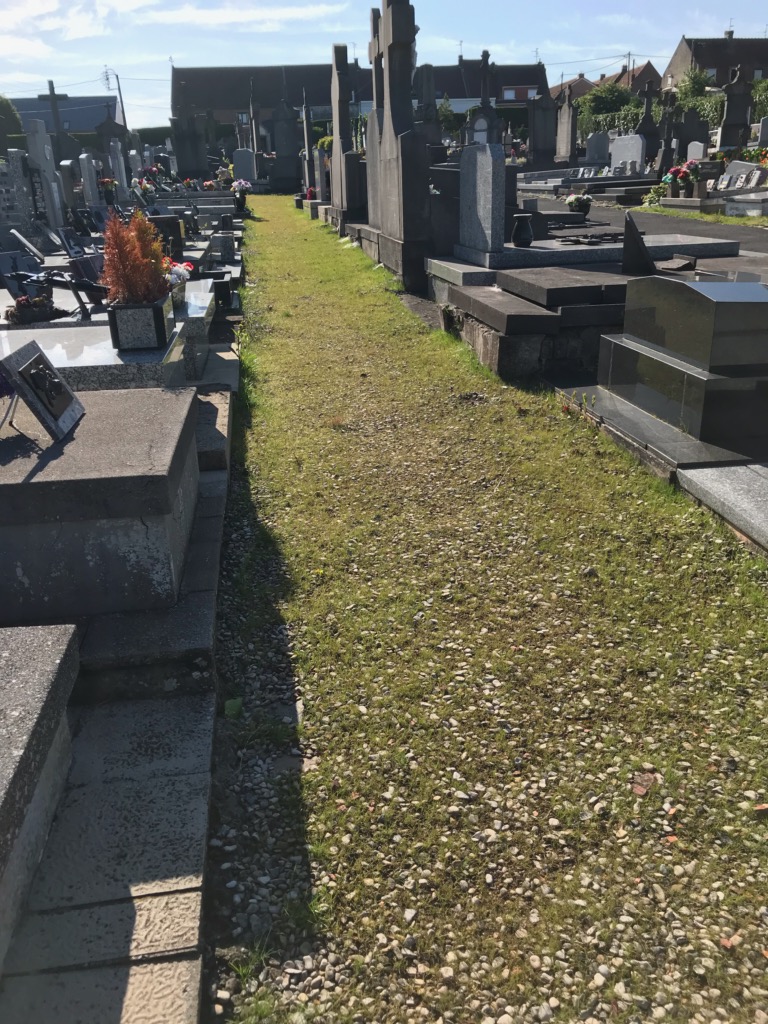 cimetière-juin-2019.jpg