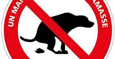 Nos amis à quatre pattes