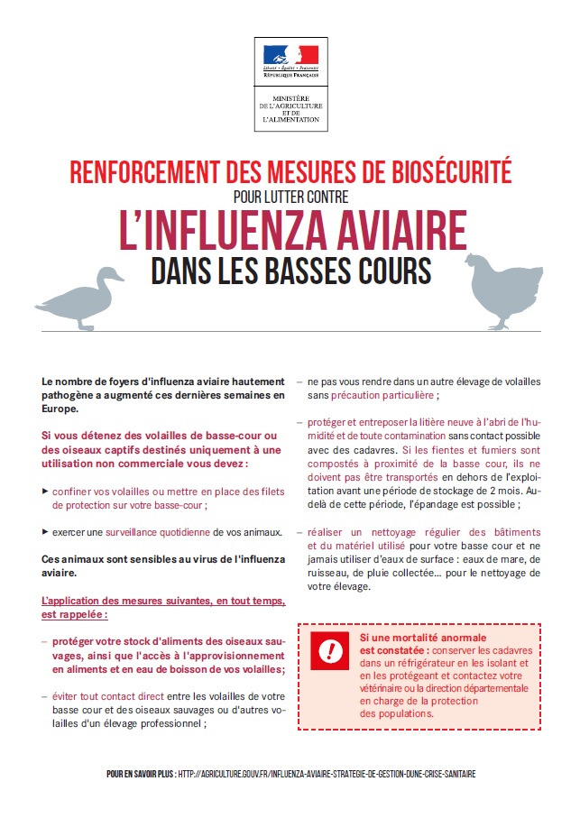 Grippe-aviaire-1.jpg