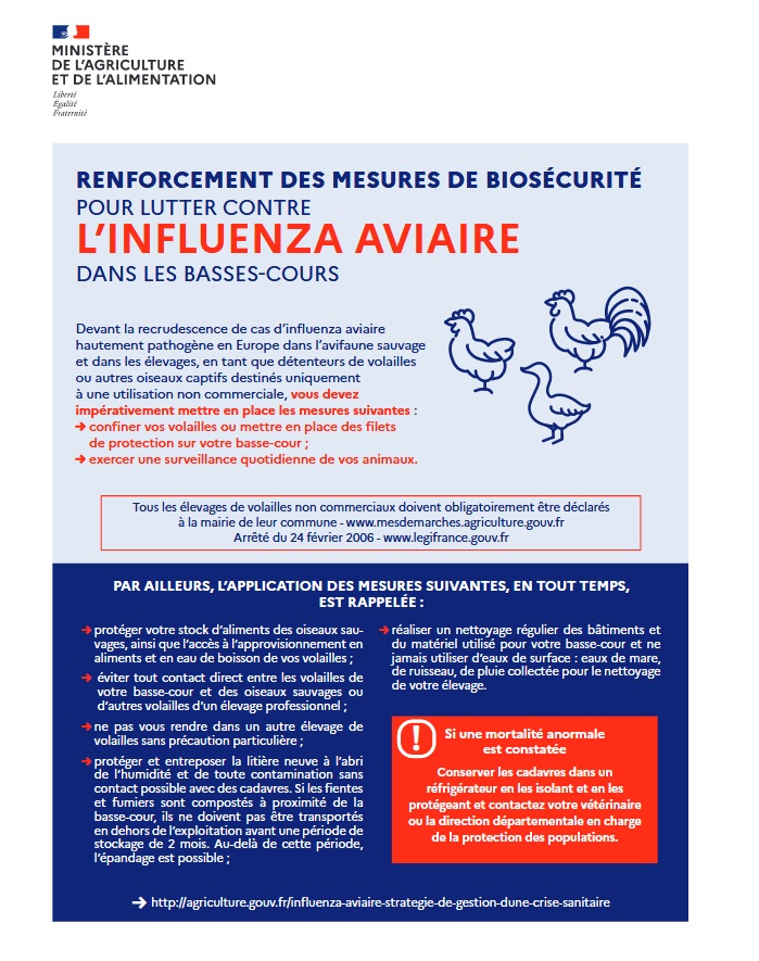 Grippe-aviaire-2.jpg