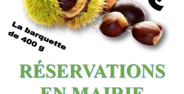 Truffé de châtaigne