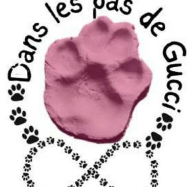 Dans les pas de Gucci