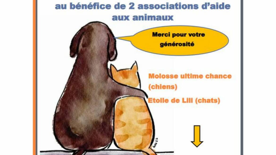 Collecte en faveur de deux associations d&rsquo;aide aux animaux