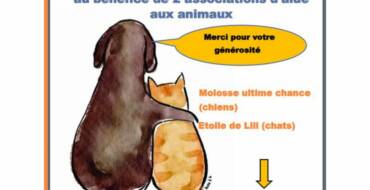 Collecte en faveur de deux associations d&rsquo;aide aux animaux