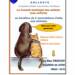 Collecte en faveur de deux associations d&rsquo;aide aux animaux